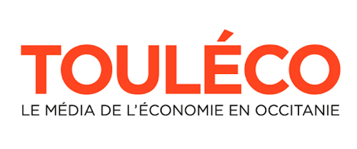 logo touleco