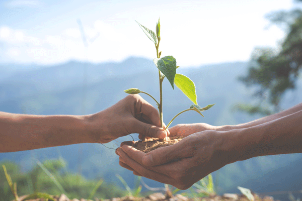 environnement-et-nature